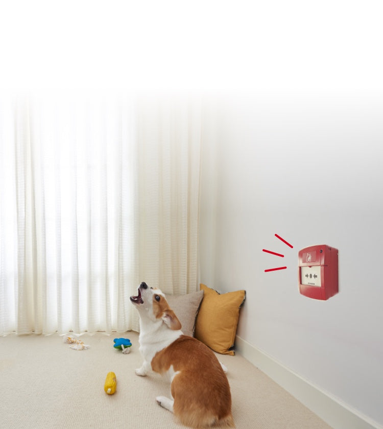 The dog looks scared and is barking because the smoke alarm is going off in the room 