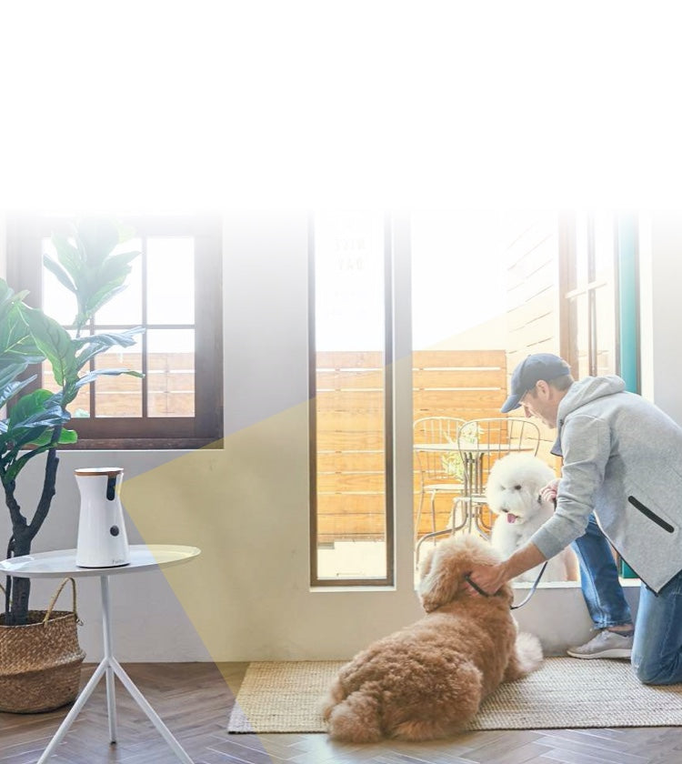 The security camera recognizes a guy in a blue hat, grey jacket, and jeans with one knee down patting two poodles by the balcony backdoor.