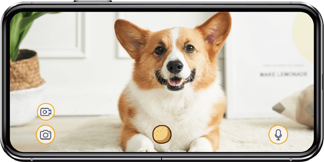 Toss treat or talk to your dog from your furbo app on your phone 