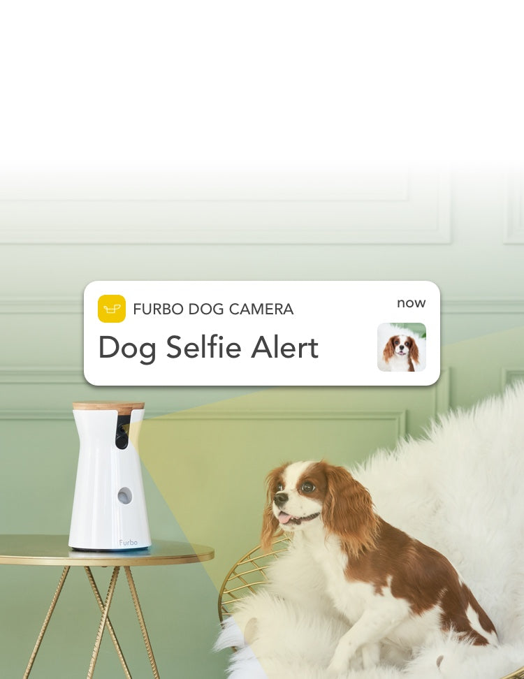 Furbo perro Camera: Treat mantear, HD Wifi Cam, y 2 Vías Audio