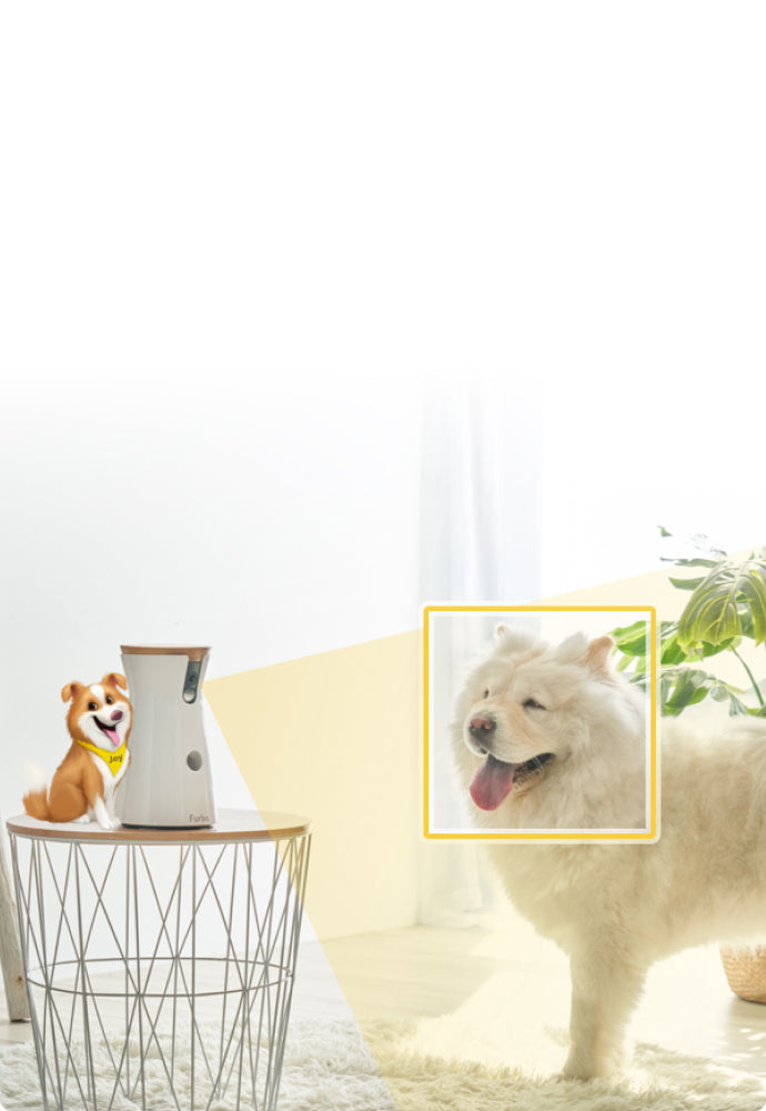Furbo Dog Nanny uses AI technology to detect motions and sounds